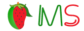 site logo
